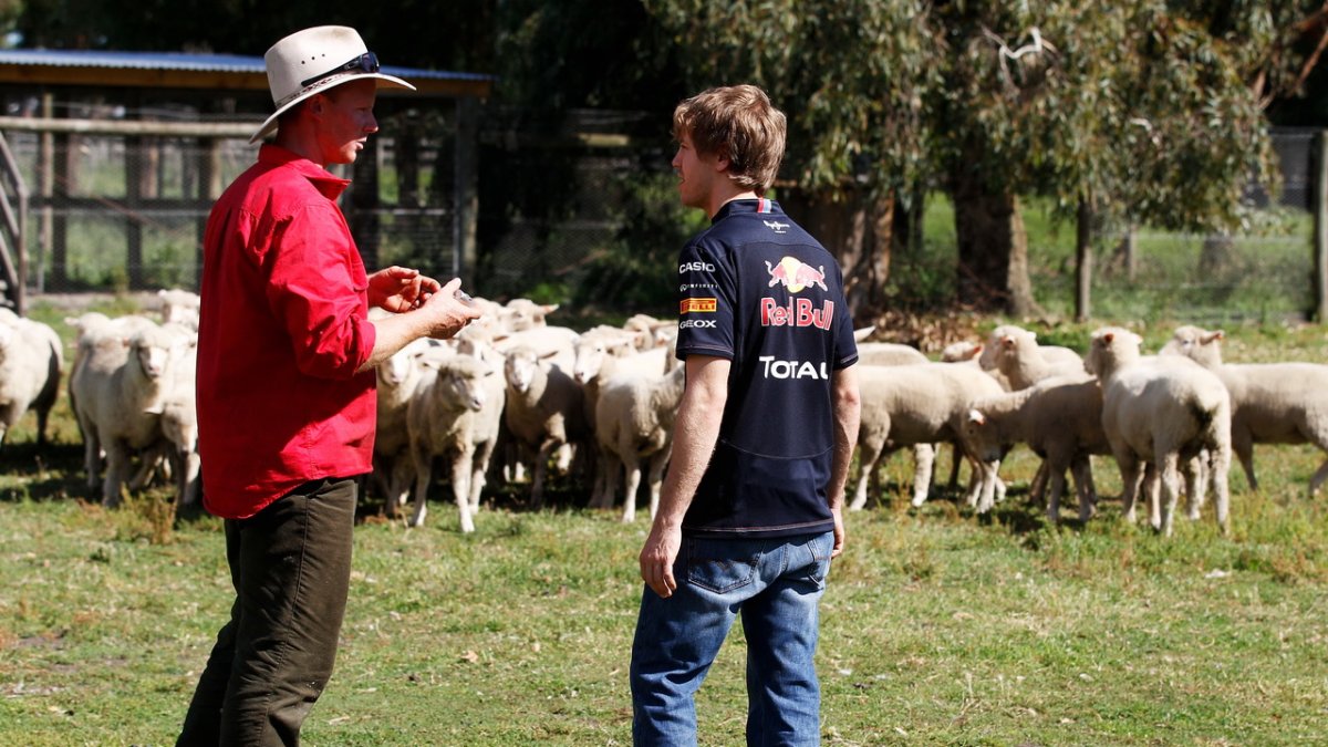 Vettel, Sebastian