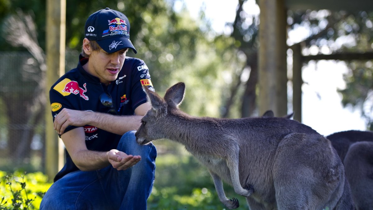 Vettel, Sebastian