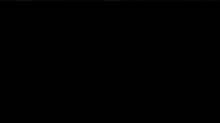 Stoffel Vandoorne v tréninku v Maďarsku