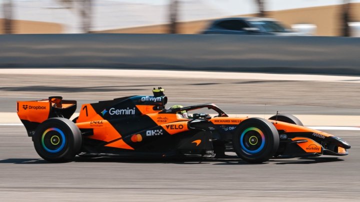 Lando Norris 